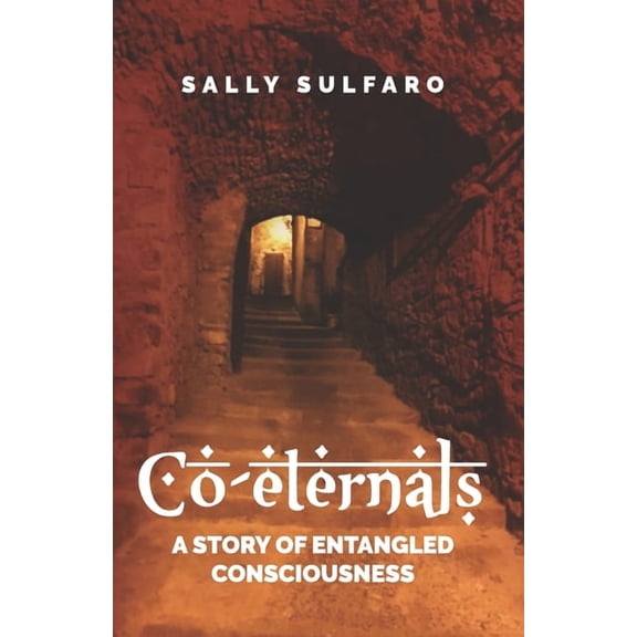 Co-eternals : A Story of Entangled Consciousness (Paperback)