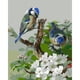 thumbnail image 2 of Cuadros Decorativos Pintado a mano dos pájaros azules dibujo cuadro de pared pintura al óleo de codificación Digital Ndcxsfigh Nuevos Originales, 2 of 9