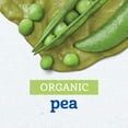 thumbnail image 3 of Gerber 1st Foods Organic for Baby Baby Food, Pea, 4 oz Jar, 3 of 16