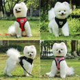 thumbnail image 3 of Accesorios para perros: Arnés y correa de malla transpirable para perros, chaleco arnés para cachorros y gatos, para perros pequeños, chihuahuas, arnes para perro 35, 3 of 6