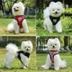 thumbnail image 3 of Accesorios para perros: Arnés y correa de malla transpirable para perros, chaleco arnés para cachorros y gatos, para perros pequeños, chihuahuas, arnes para perro 35, 3 of 6