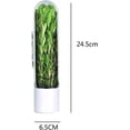 thumbnail image 5 of Conservador de hierbas frescas, cápsula de sabor a hierbas, vaso de vainilla para mantener frescas, botella de conservación de verduras frescas para almacenamiento, menta, perejil, mantiene, 5 of 5