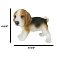 thumbnail image 2 of Ebros Realistic Adorable Tri Color Beagle Dog Puppy Figurine 5.75" Long, 2 of 10