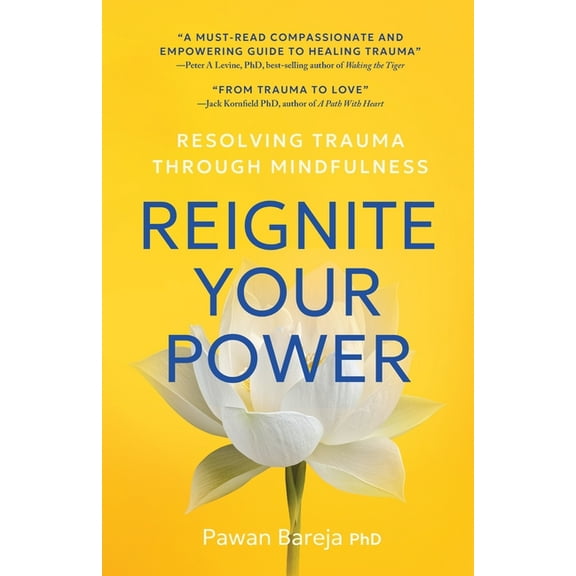 Reignite Your Power, (Paperback)