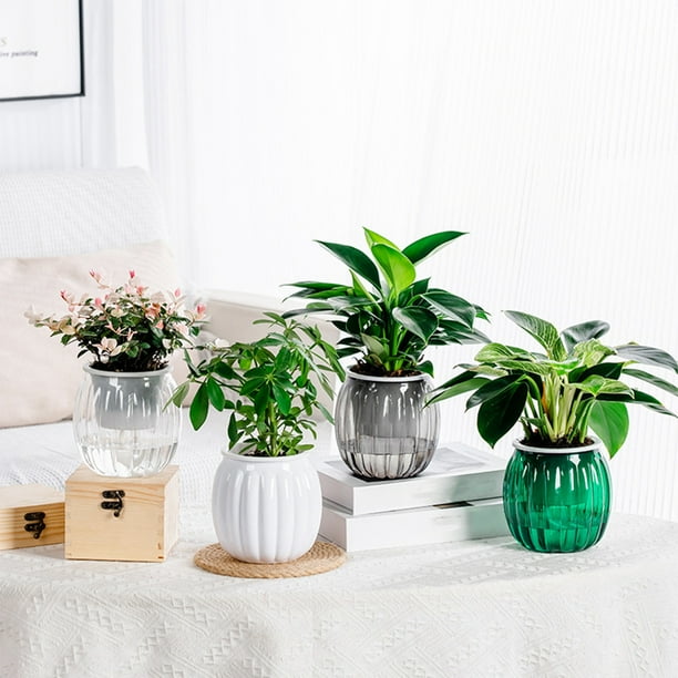Maceta de plástico con autorriego | Jardinera transparente perezosa de escritorio de interior para pequeñas plantas verdes | Diseño de reservorios de agua | 1 Pieza | 10.5x11cm | Verde Negro Blanco