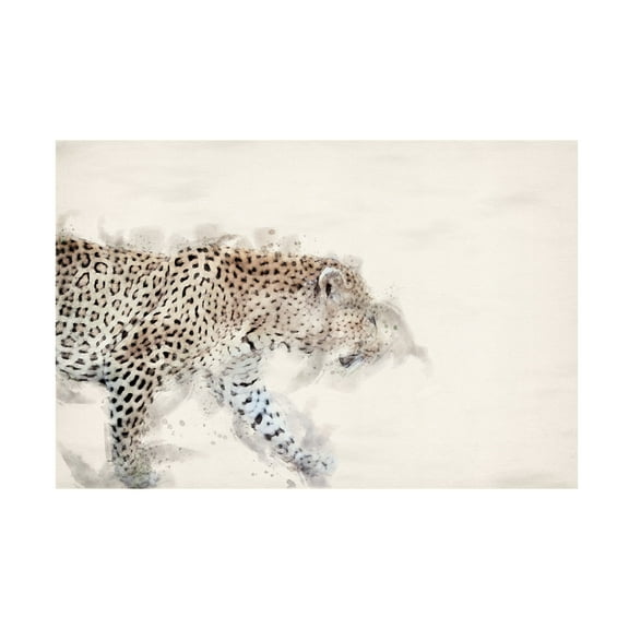 Trademark Fine Art Arno Du Toit Abstract African Leopard Watercolor Art Canvas Wall Art