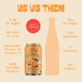 thumbnail image 5 of De La Calle Tepache - Mandarin Refresco - Modern Mexican Soda - Craft Fermented Pineapple Beverage, 5 of 7
