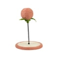 thumbnail image 1 of Rascador de gatos de juguete con pelota con campana, alfombrilla rascadora para gatos, Protector de muebles para gatos Rosa jinwen Pelota para rascar gatos, 1 of 8