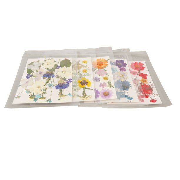 Flores secas prensadas, 5 bolsas de flores prensadas, flores secas prensadas, flores secas para resina, diseño revolucionario