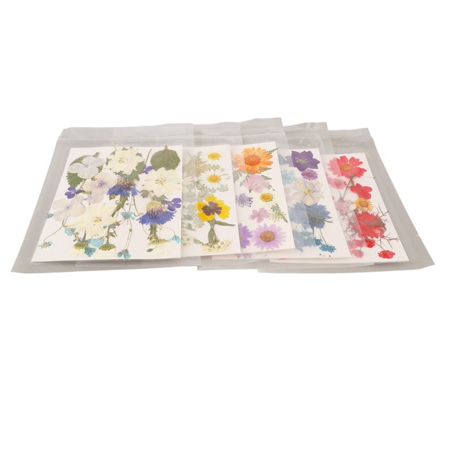 Flores secas prensadas, 5 bolsas de flores prensadas, flores secas prensadas, flores secas para resina, diseño revolucionario