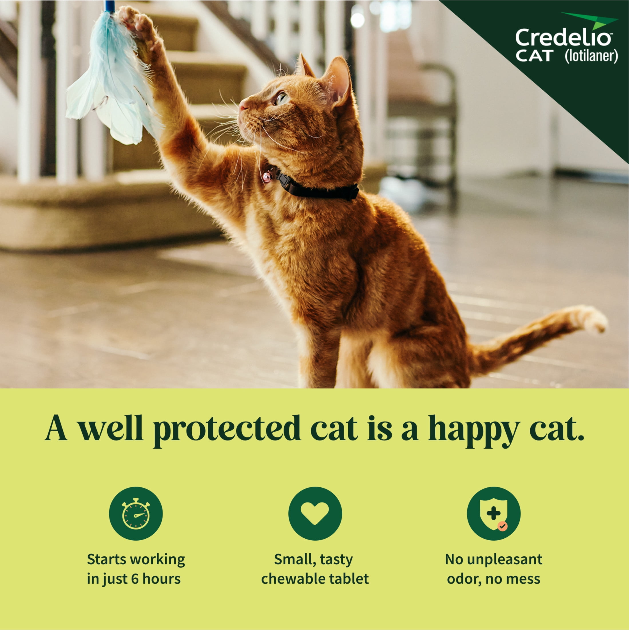 Credelio CAT Flea & Tick Infestation Prevention and Treatment for Cats 4.1-17 lbs. | 3-Month Supply