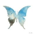 thumbnail image 2 of Brown, Denise 15x15 White Modern Wood Framed Museum Art Print Titled - Watercolor Wings 3, 2 of 4