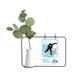 thumbnail image 1 of Deporte de invierno Patinaje de velocidad de los atletas masculinos Jarrones colgantes de vidrio transparente Decoración Botella, 1 of 4