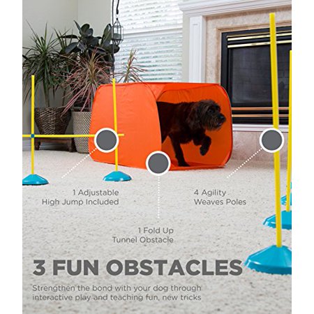 Outward Hound Kyjen Zip Zoom Indoor Dog Agility Starter Kit With Dog Tunnel Weave Pole High Jump Obstacles Large Multicolor Walmart Canada