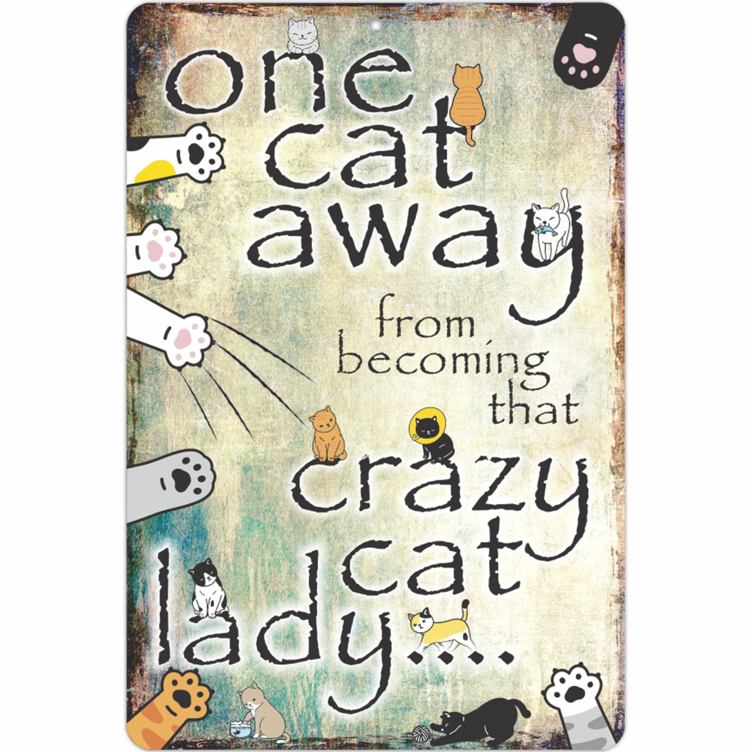 Funny Cat Lady Aluminum Sign with Cat Graphics
