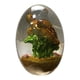 thumbnail image 1 of Resina De Cristal De Huevo De Dragón Transparente, Recuerdo Ornamental, Artesanía De Resina, Adornos De Escritorio Para El Hogar, Regalo Exquisito Speravity HA041332-06, 1 of 6