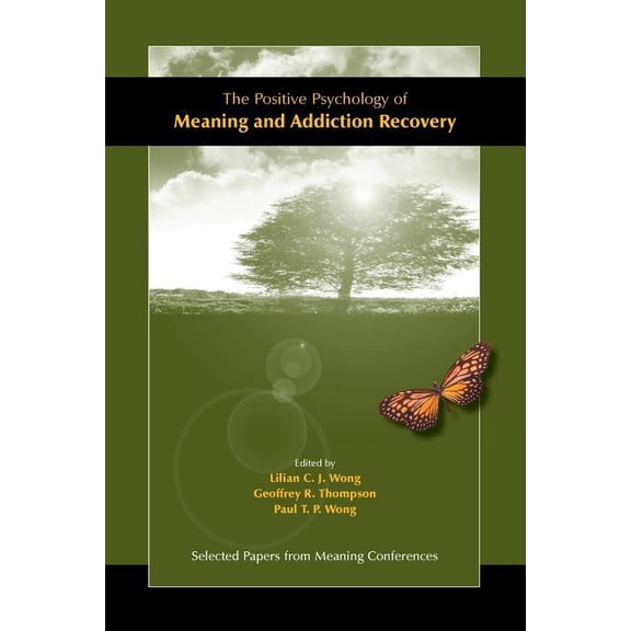 The Positive Psychology of Meaning and Addiction Recovery (Paperback)