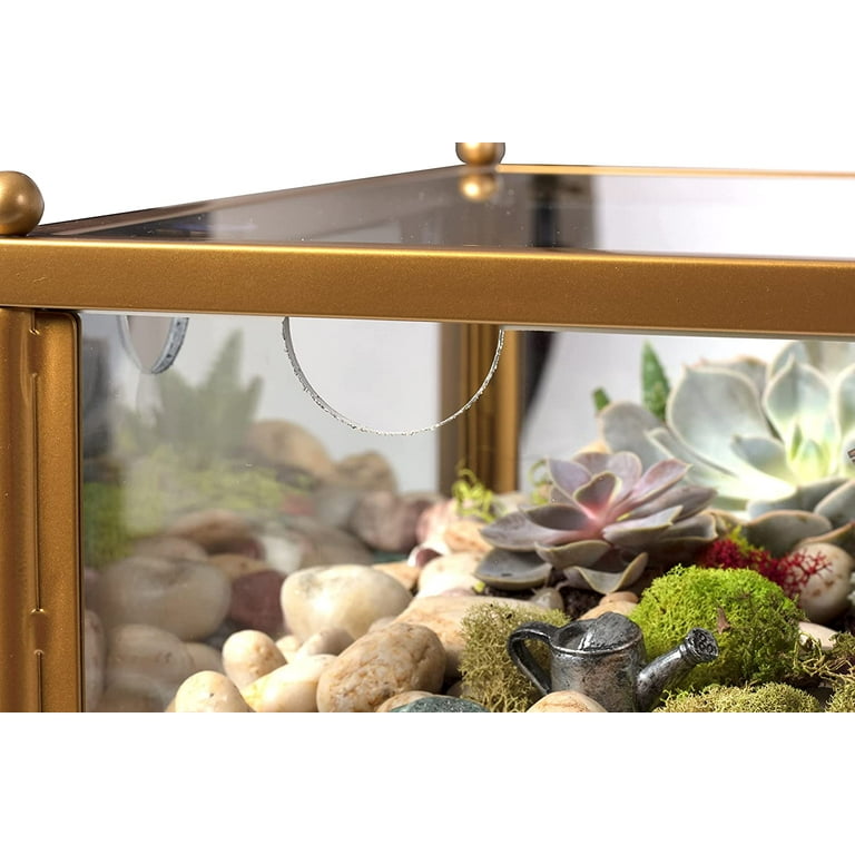  D'Eco Square Terrarium Display End Table w Reinforced