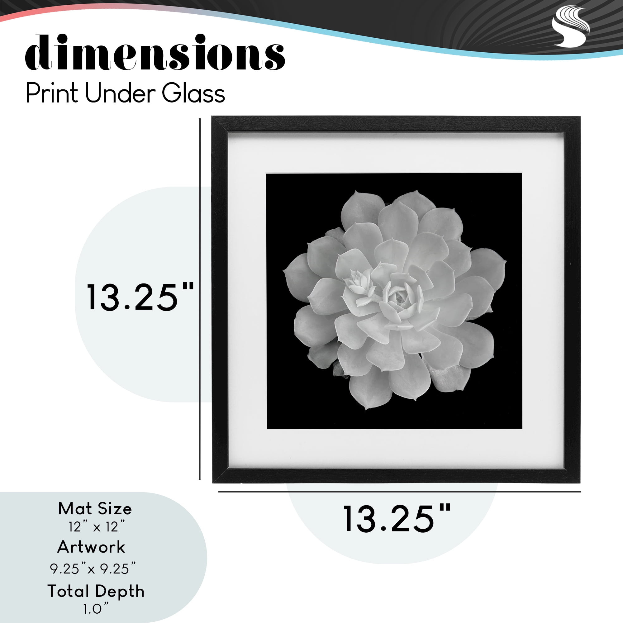 Pure White Succulent Contrast Black Framed Print Under Glass, design by Phillip Flowers
