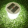 thumbnail image 3 of Solar Camping Lantern, LED Camping Lights, 75 Lumens 4 Modes, Camping Gear, Collapsible Portable Solar Inflatable Light for Hiking, Backpacking, Emergency (4 Pack), 3 of 7