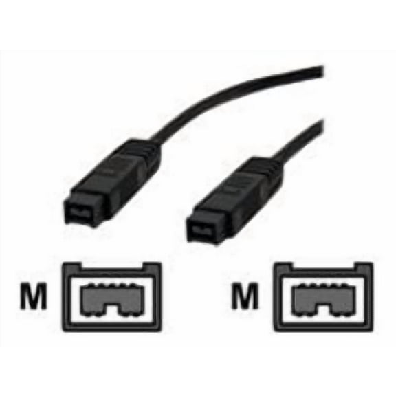 Bytecc FireWire Data Transfer Cable - 10 ft - Black FW9910K