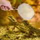 thumbnail image 3 of Con Pala De Arena Con Mango Ergonómico, Pala De Limpieza De Basura A Prueba De Herrumbre, Lagarto Para Tortuga Mgaxyff Dung Sand Shovel, 3 of 8