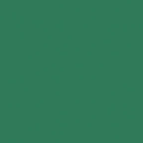 Bazzill Card Shoppe Heavyweight Cardstock 12"X12"-Evergreen