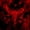Red, variant on Feelyou Horror Bat Skull Bed Sheets, Red Butterfly Halloween Full Size Sheets, 4pcs, 1 Flat Sheet, 1 Fitted Sheet and 2 Pillowcases