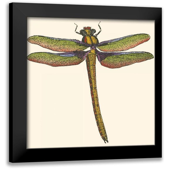 Vision Studio 12x12 Black Modern Framed Museum Art Print Titled - Miniature Dragonfly I
