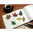 thumbnail image 3 of Leaf Silhouette 1 Stencil 5.75" x 6" Art Craft, 3 of 6