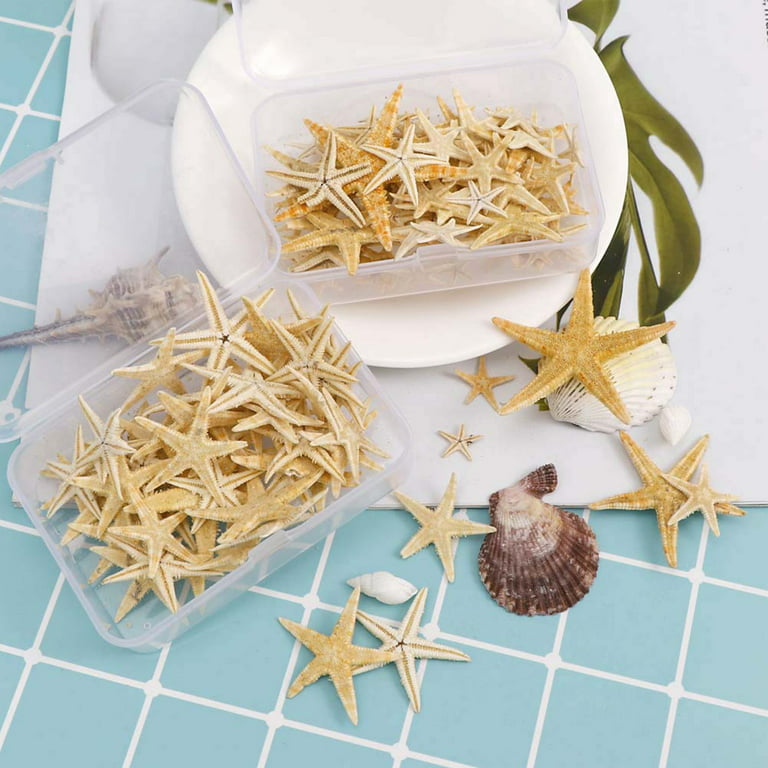 Yirtree 100PCS Starfish Decor  Natural Bulk Starfish Shells Perfect for  Crafts Making Beach Theme Party Wedding Decoration, Home Wall Decor,  Christmas Ornaments, Fish Tank 