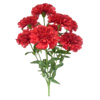 Carnation Bush Red