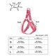 thumbnail image 5 of A Colorful Bone Tripod Pet Dog Harness For Indoor And Outdoor Use, 5 of 5