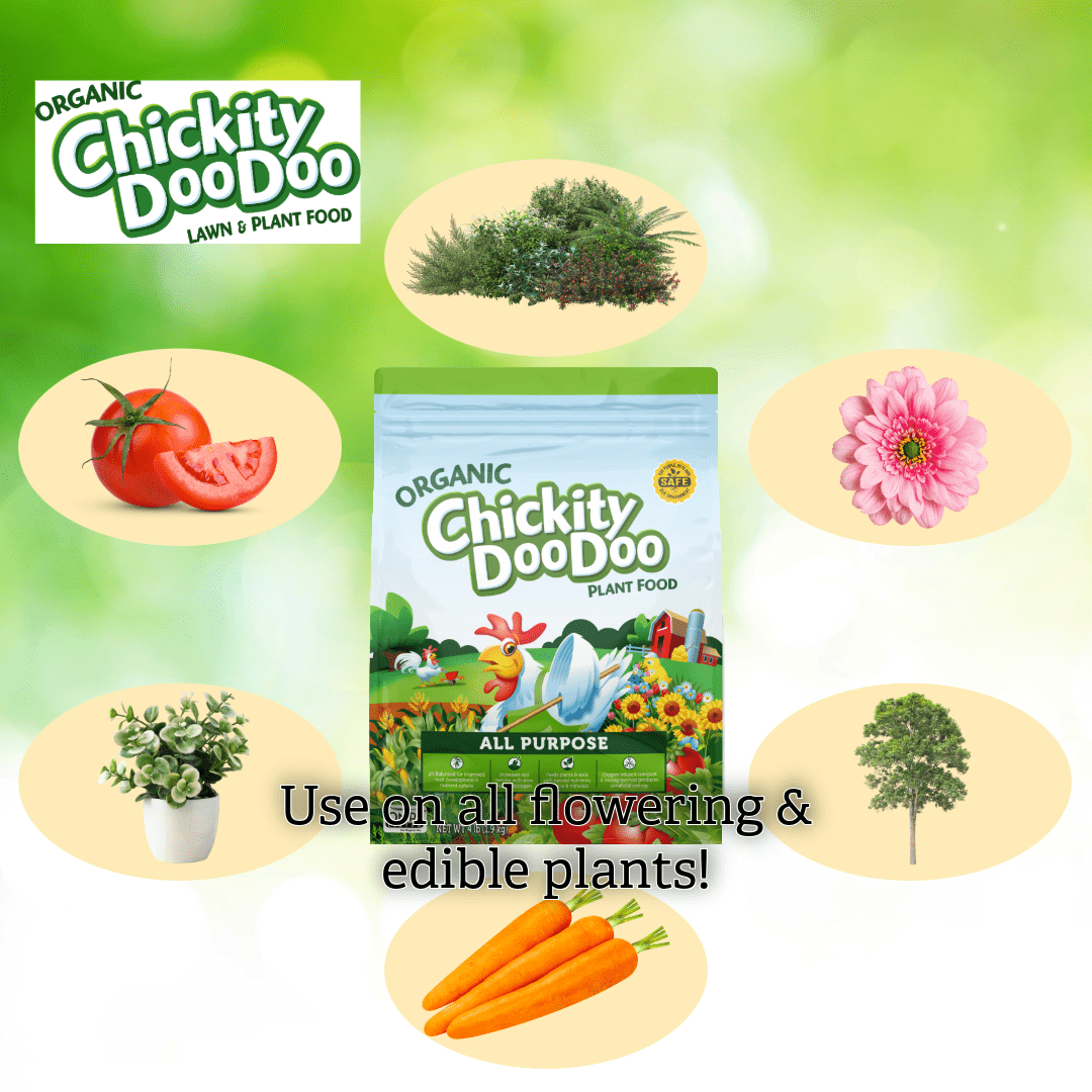 (2 pack) Chickity Doo Doo All Purpose Plant Food Fertilizer, 2-4-3, 4 Pounds, 360 Square feet Coverage