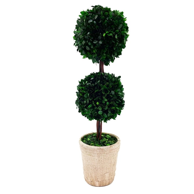 Modern Home Real Preserved Boxwood Double Ball Topiary