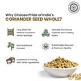 thumbnail image 5 of Pride of India – Coriander Seed Whole – Fresh & Gourmet Indian Whole Spice – Good for Curries/Meat/ Chicken – Easy to Store – 4 oz. Medium Dual Sifter Jar, 5 of 8
