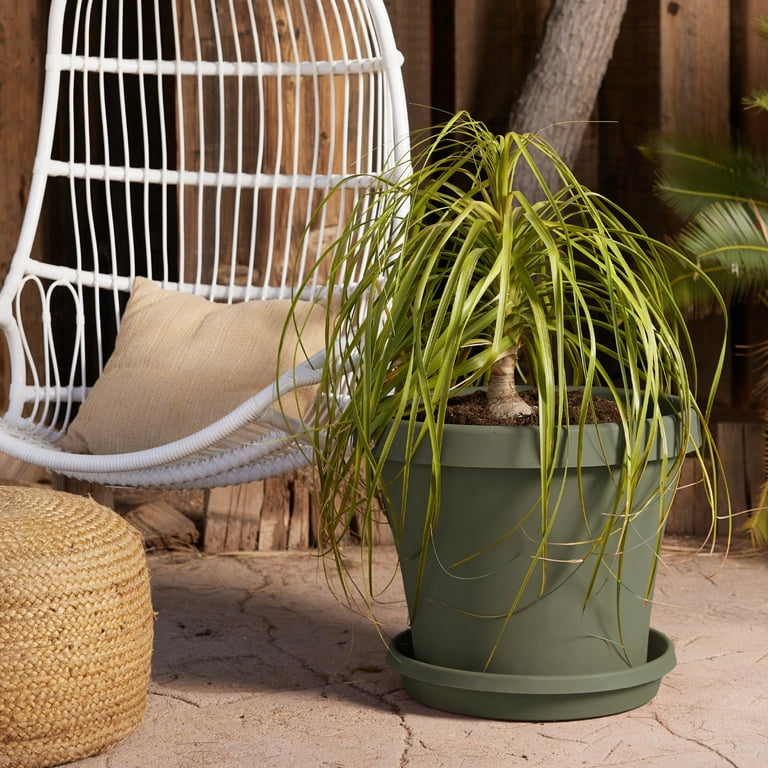 Bloem Terra Pot Planter 20 Bloem Terra Pot Planter 20