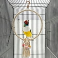 thumbnail image 4 of Trayknick Bird Swing Toy Multifunctional Bite Resistant Exquisite Pet Circle Ring Climbing Toy for Cockatiel, 4 of 13