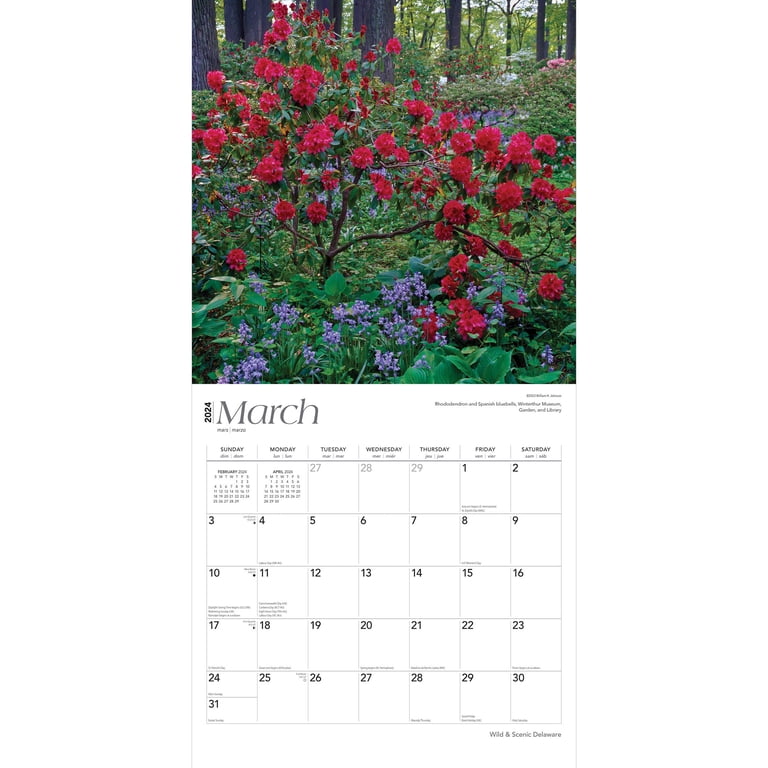 Delaware Wild & Scenic 2024 Wall Calendar 12x12 by Browntrout - Walmart.com