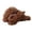 C, variant on katior Plush Stuffed Golden Doodle Dog Adorable Poodle Stuffed Animal Toys, Soft & Realistic Gift for Kids, 11 inch