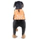 thumbnail image 4 of Suministros para mascotas, traje de baño, chaleco salvavidas para perros, ropa de baño (S), 4 of 5