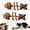 Gall fruit, variant on Catnip and Silvervine Chew, Natural Fishbone Chew Toy for Cats, Fix Cat Dental Health,Ideal for  Chewing Licking Pawing & Boredom Relief
