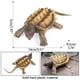 thumbnail image 3 of Colorful Simulation Sea Animals And Small Animals Suit Model Ornaments, 3 of 9