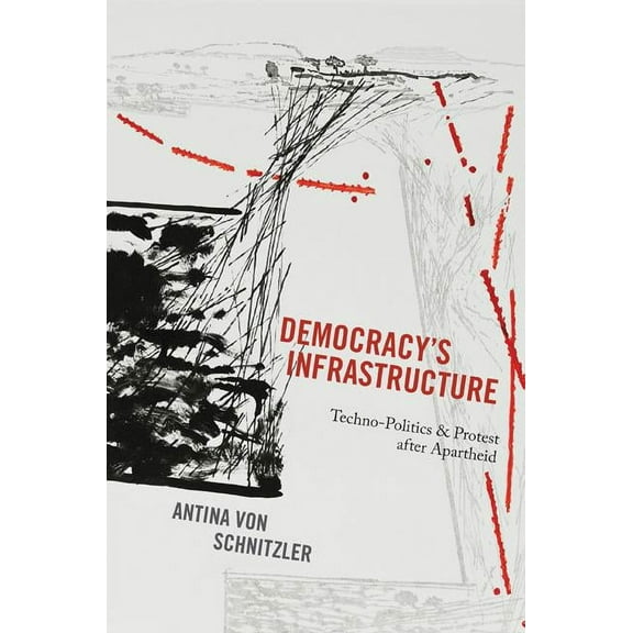 Princeton Studies in Culture and Technol Democracy's Infrastructure: Techno-Politics and Protest After Apartheid, Book 9, (Paperback)