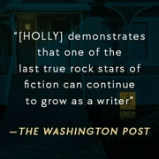 Stephen King: Holly (Hardcover)