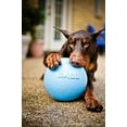 thumbnail image 4 of Jolly Pet Bounce-N-Play Ball Blue 8 inch Berry Scented Rubber Dog Toy, 4 of 7
