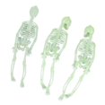 thumbnail image 2 of 8pcs Halloween Skeleton For Halloween Decorations, 2 of 3