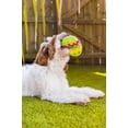 thumbnail image 5 of Midlee Plush Easter Egg Dog Toy with Squeaker (Green)-Large, 5 of 7