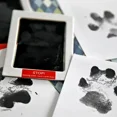 thumbnail image 5 of almohadilla segura, no tóxica, huellas de bebé, ducha para recién nacido, huella de mano, fácil bricolaje, tacto limpio, recuerdo de mascota sin tinta, 5 of 5