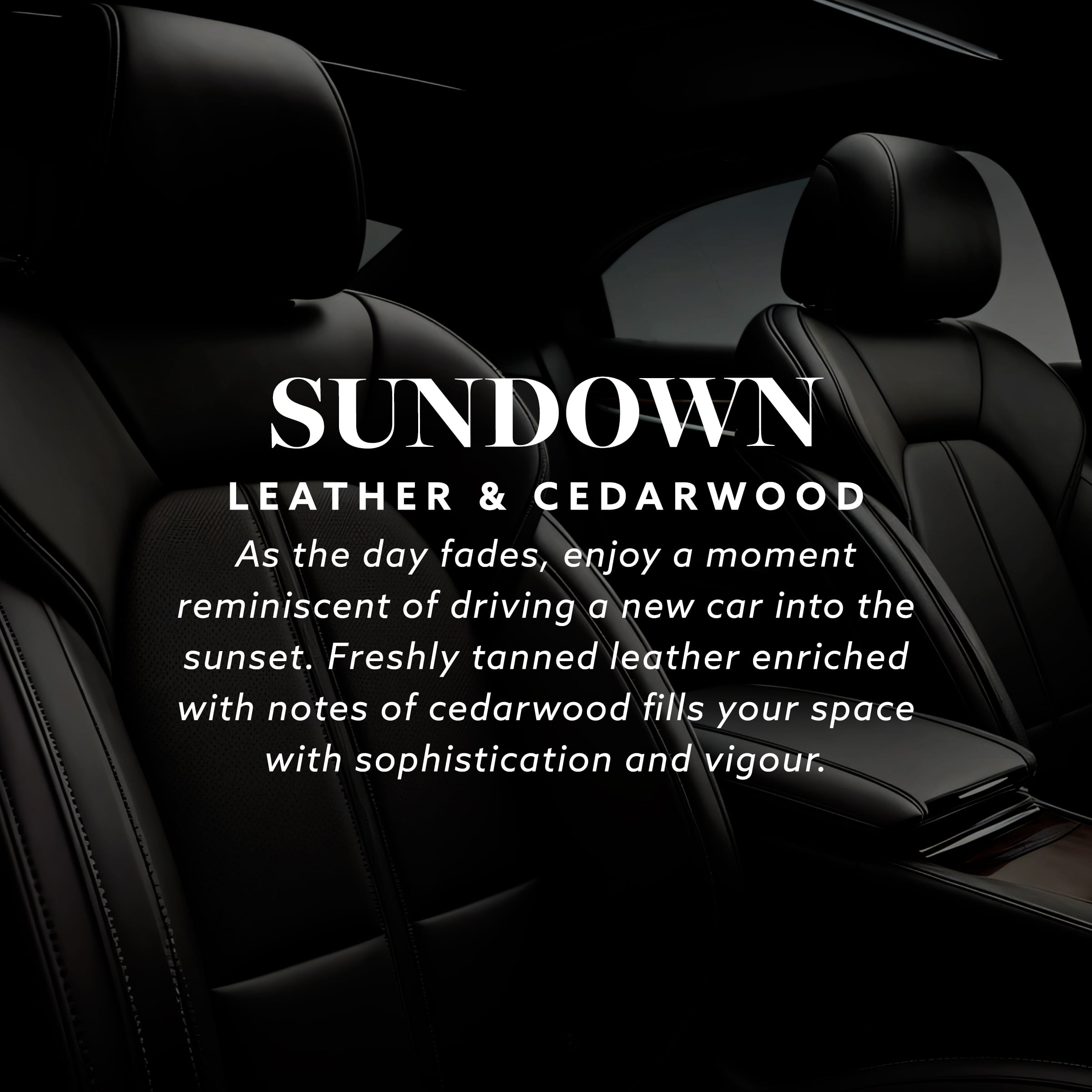(2 pack) Maison&Muse Car Freshener 2 pack Leather & Cedarwood (Sundown)